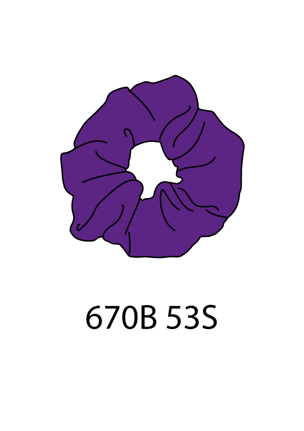 670B-53S