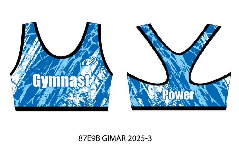 87E9B-GIMAR-2025-3